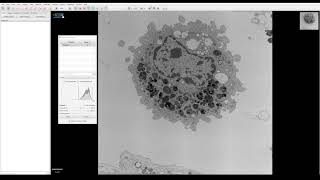 QuPath tutorial for EM images