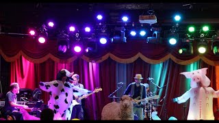 Old MacDonald Had a Farm x "Bulls on Parade" Mashup (LIVE) - Ramblin' Dan & The Freewheelin' Band