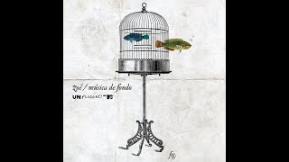 Zoé - Poli Love MTV Unplugged ( Audio 10D )