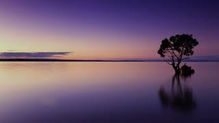Calm, Peace and Happiness Frequency to Harmonize Your Soul