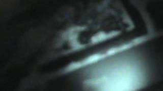 jan 2010 storm.mpg