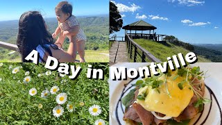 Things to do in Montville Queensland (Cafe and Shops)