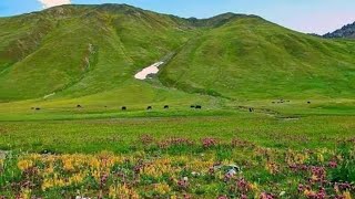 Best whether creative commens videos |natural beauty part 2|free cc videos |no copyright videos