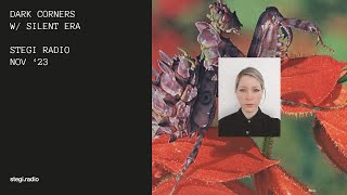 Dark Corners w/ Silent Era · Stegi Radio, Nov '23