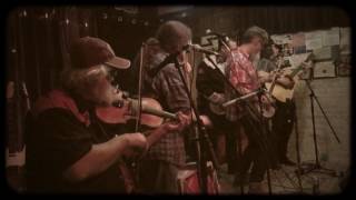 The D Rangers - Jocko Homo