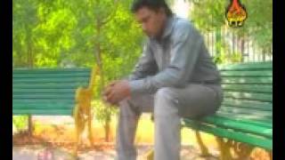 BE DARDAN KAEE JUDAE BYE SHAMAN ALI MERALI (SINDH TV) WARIS CHACHAR FROM GHOTKI.CELL 03412900097