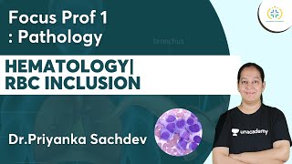 Hematology | RBC Inclusion | Focus Prof 1 : Pathology | Unacademy Future Doctors | Dr.Priyanka