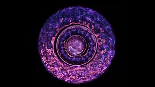 Medicine Music 2: Orange Album "IN US ALL" journey through the chakras with binaural beats.