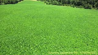 280 Acres in Tracts - St John Road, Vine Grove, KY