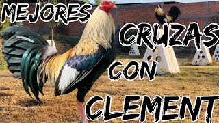 you cross with Clement @elpoderdelpollo2342