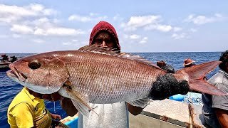 Hand Line Fishing at 250 Deep for Rosy Snapper