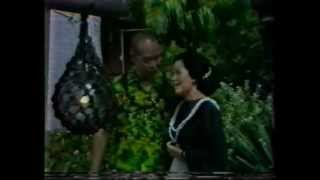 HAWAIIAN SENIORS.avi VOL 8 INDONESIA