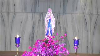OLPS MAHIM Live Stream