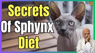 🔴 3 SECRETS OF SPHYNX DIET 🔴