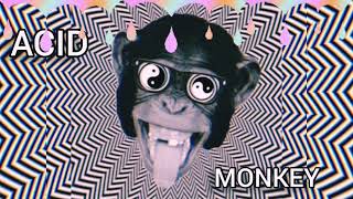 ACID MONKEY | LION VAN SAN