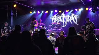 ARCHAIA live @ Reverb, Reading PA - 29/01/2022