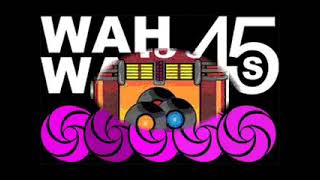 Poor Little Fool -  vic cassar