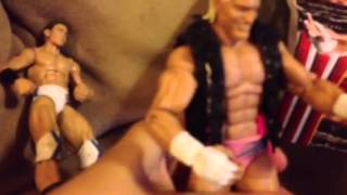 My new wwe figure