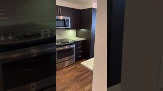 Design 1B (Stanford 10) - 950 SF - Floorplan Video - 1 bd 1 ba