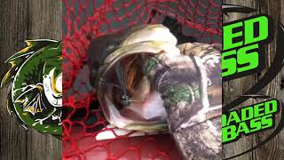 Cold Water Jig Fishing #Shorts