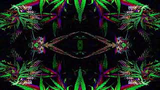 Dangerous drugs (Stable Diffusion music visualizer)