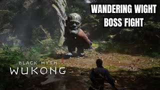 Black Myth: Wukong - Wandering Wight Boss Fight