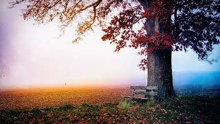 Soothing Flute Melodies - Tranquil Instrumental Music for Relaxation (Pan flute)