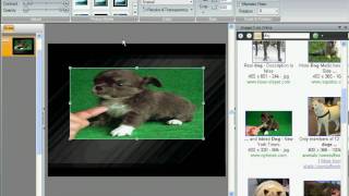 07 - Adding Pictures