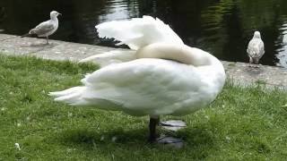 054