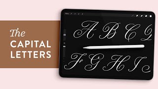 Capital Calligraphy Alphabet Demonstration | Procreate Lettering Brush