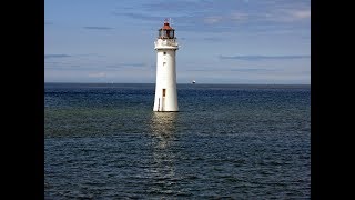 Shark swims towards Swimmer's New brighton beach ! River Mersey , Wirral