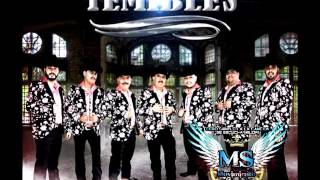 Los Temibles - los hombres no deven llorar 2016 Movimiento SAX