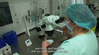 Testimonial - Rapid i