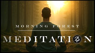 Forest Meditation Without Music | Natural Morning Ambience