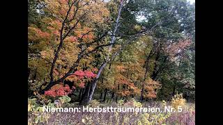 Walter Niemann: Herbstträumereien, Opus 63a, Nr 5