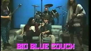 Big Blue Couch - Difference between a Sofa and Couch