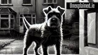 House With No Past - Your Story - Unexplained.ie