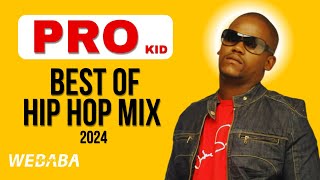 PRO best of HipHop Mix 2024 | Dj Webaba