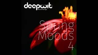 Deephope - Sushi (Original Mix)