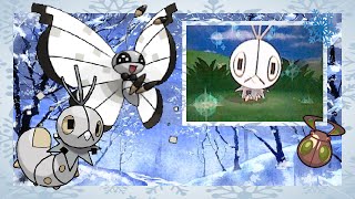 (ISHC#2 LIVE BQ#2) Pokemon Y: Shiny Scatterbug after 4,681 RE's