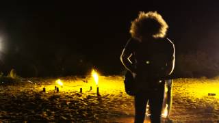 Zoophyte - Free The Light