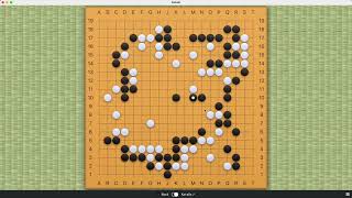 9002 (Beginner Tutorial) Keep Dominating KataGo!!!! (🤫🤫🤫 with a 9-stone handicap 🤫🤫🤫)