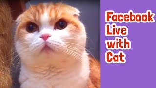 Facebook Live with Waffles 2017