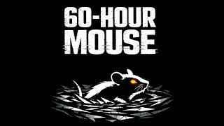 The 60-Hour Mouse: The Lone Wolf Protocol for Intellectual Sovereignty