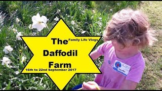 The Daffodil Farm | 16th to 22nd September 2017 | Family Life Vlogs