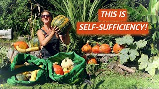 Harvesting & Storage Tips for Year-Round Self-Sufficiency