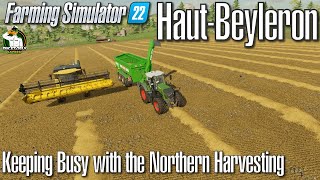 FS22 - Haut-Beyleron  - Keeping Busy with the Northern Harvesting - #119