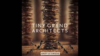 Tiny Grand Architects