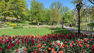 봄, 꽃, 다양한 봄, 꽃 영상들, Spring, Flowers, Various Spring, Flower Videos  67, 기증영상, pexels