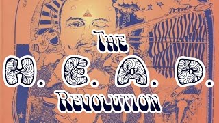 Robert Anton Wilson Lecture - The H.E.A.D. Revolution (1988) | Unlock Superhuman Potential